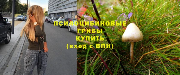 твердый Новокубанск