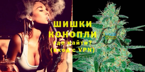 твердый Новокубанск