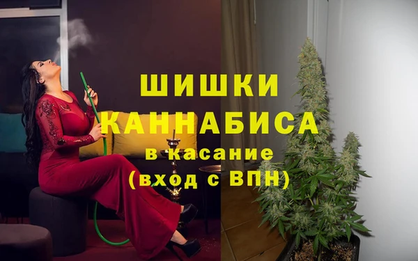 твердый Новокубанск