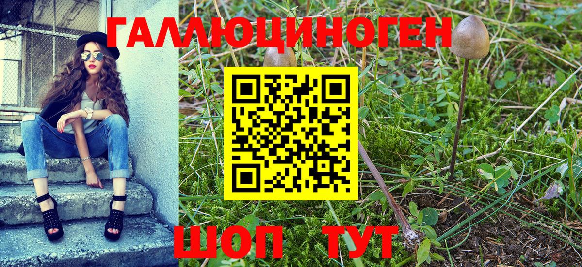 что такое наркотик  Вход с VPN  Кашира  Псилоцибиновые грибы Psilocybine cubensis 