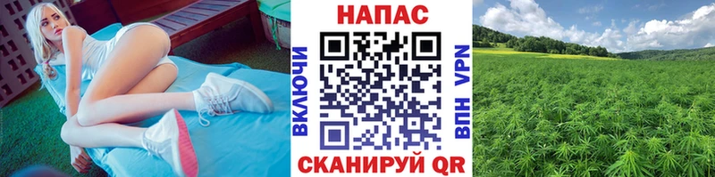 МАРИХУАНА ГИДРОПОН Кашира